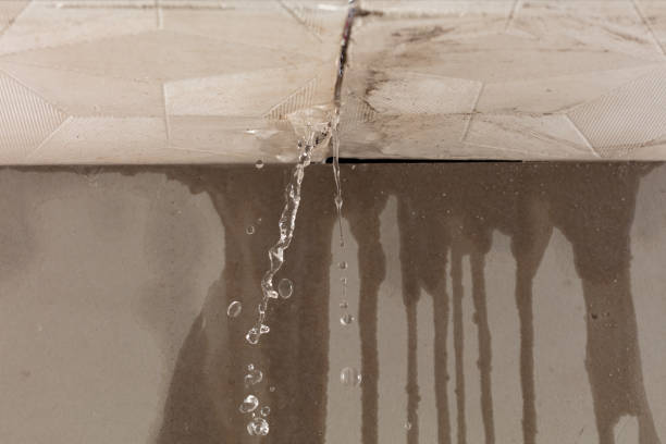 Professional Flood Damage Cleanup technician working in Lake City, IA